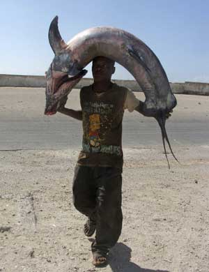 Fischen jetzt wieder mit Erfolgsaussichten für Küstenbewohner in Ostafrika